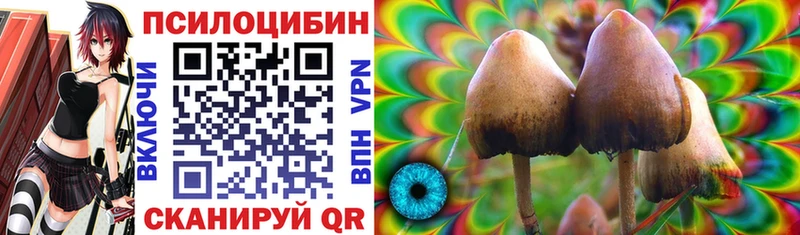 Псилоцибиновые грибы MAGIC MUSHROOMS Чегем