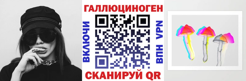 дарнет шоп  Чегем  Галлюциногенные грибы Psilocybine cubensis 