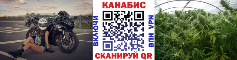 Бошки Шишки ГИДРОПОН  kraken   Чегем  как найти закладки 